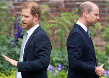 வேறொரு நபருக்கு கிடைக்கவிருக்கும் டயானாவின் சொத்து