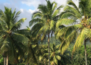 அனுமதி பெறுவது கட்டாயம்! அறிவிப்பு