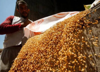ரஷ்ய கோதுமையை வாங்கிக் குவிக்கும் அரேபிய நாடொன்று