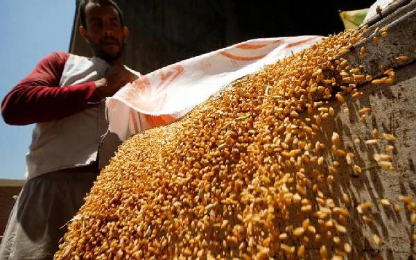 15 Paris Tamil News ரஷ்ய கோதுமையை வாங்கிக் குவிக்கும் அரேபிய நாடொன்று