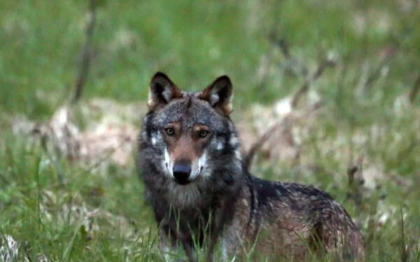 சுவிட்சர்லாந்தில் அமுலுக்கு வரும் முக்கிய மாற்றங்கள்