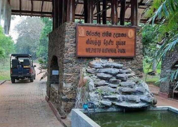 வில்பத்து பூங்காவிற்கு செல்லத் தடை