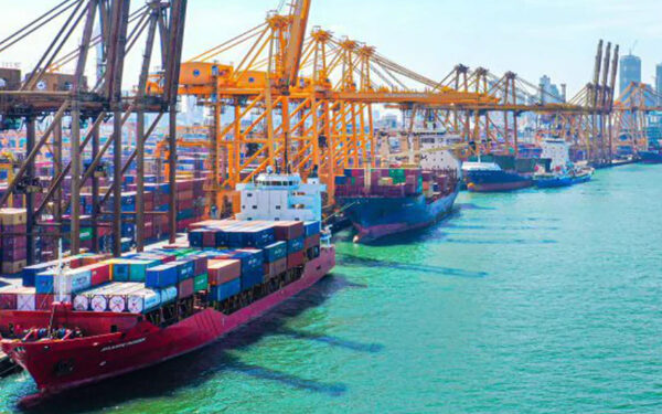 திருடரை பாதுகாக்கும் சஜித் – ராஜபக்ச கூட்டணி!