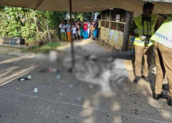 மித்தெனிய கொலைச் சம்பவம் : சந்தேக நபர்களை விசாரிக்க உத்தரவு