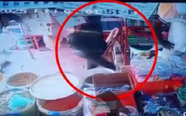 நீர்கொழும்பு துப்பாக்கிச் சூட்டு முயற்சி