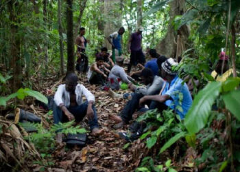 பனாமா காட்டில் ஒளிந்து கொண்ட இந்தியர்கள்