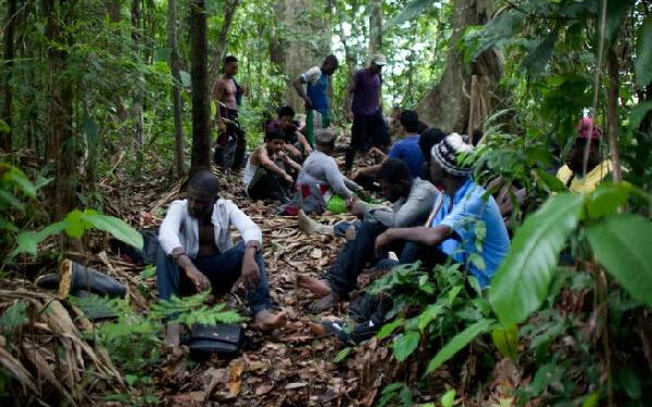 பனாமா காட்டில் ஒளிந்து கொண்ட இந்தியர்கள்