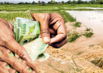 விவசாயிகளுக்கு வங்கிகளுக்கு வரும் பணம்