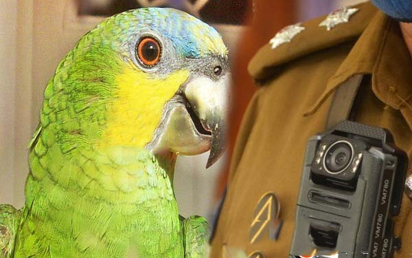 4 Paris Tamil News பொலிஸாருக்கு அதிர்ச்சி கொடுத்த கிளி – சிக்கிய தங்க நகை