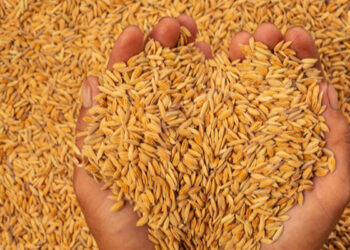 அரிசி ஆலை உரிமையாளர்கள் மீது குற்றச்சாட்டு!