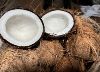 தேங்காய் விலைக்கு தீர்வு