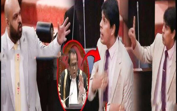 சபையை சந்தைக் கடையாக மாற்றிய சாணக்கியன் அர்ச்சுனா