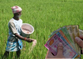 விவசாயிகளுக்கான பணம் தொடர்பில் புதிய அறிவித்தல்