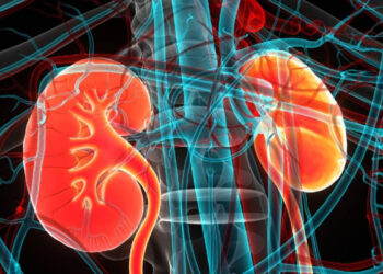 இலங்கையில் பதிவாகும் சிறுநீரக நோயாளிகள் தொடர்பில் வெளியான தகவல்