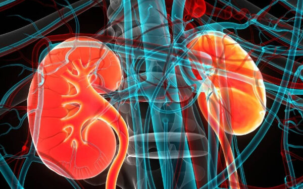 இலங்கையில் பதிவாகும் சிறுநீரக நோயாளிகள் தொடர்பில் வெளியான தகவல்