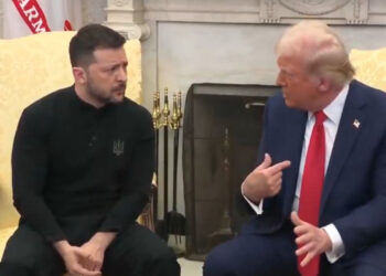 போர்நிறுத்த பேச்சுவார்த்தையில் குறுக்கிட்ட ட்ரம்ப்: ஜெலென்ஸ்கியுடன் வாக்குவாதம்