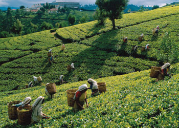 கிடைக்கவிருக்கும் புதிய வீடுகள்