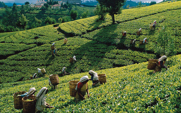 கிடைக்கவிருக்கும் புதிய வீடுகள்