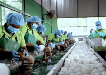 இலங்கையில் வேலையிழந்த இலட்சக்கணக்கானோர்