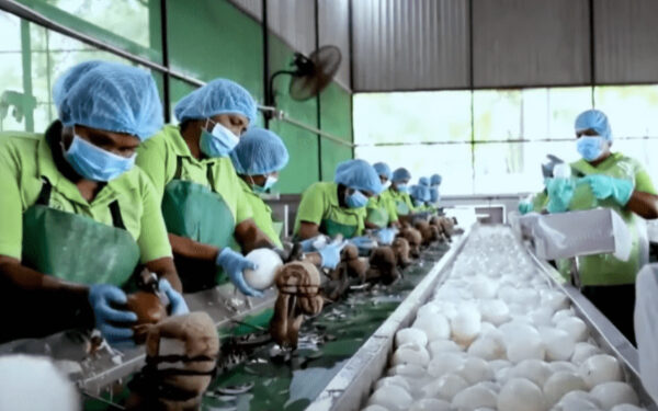 இலங்கையில் வேலையிழந்த இலட்சக்கணக்கானோர்