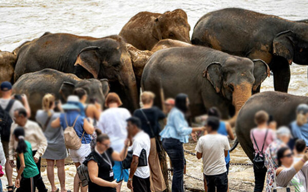 சுற்றுலாத் துறை ஊழியர்களுக்கு அரசாங்கம் புதிய திட்டம்