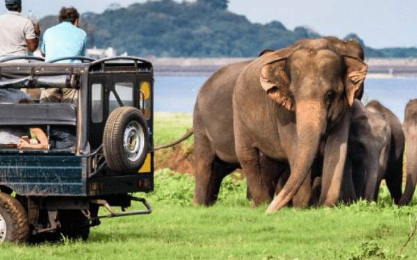 மூடப்படும் யால தேசிய பூங்கா