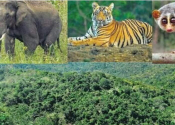 பயிர்களை சேதப்படுத்தும் வனவிலங்குகளை கணக்கெடுக்கும் படிவம்