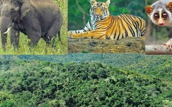 பயிர்களை சேதப்படுத்தும் வனவிலங்குகளை கணக்கெடுக்கும் படிவம்